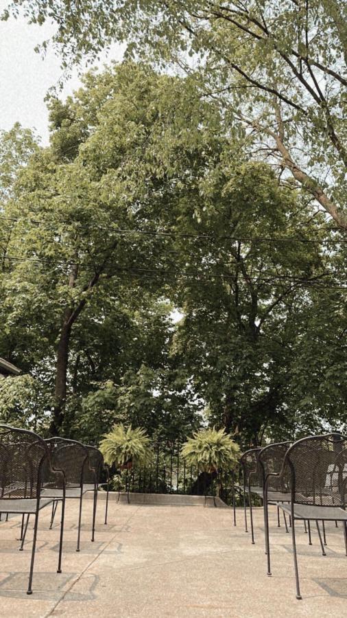 The Ginkgo Tree Bed & Breakfast Mount Pleasant Ngoại thất bức ảnh